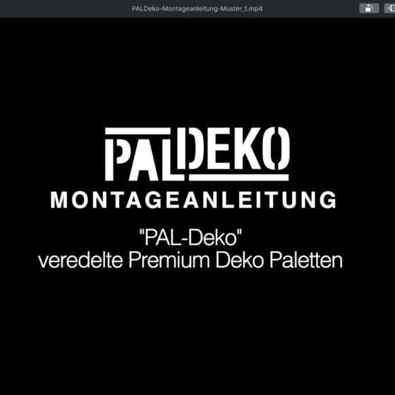 Logoentwicklung für Kunde "PALDEKO"